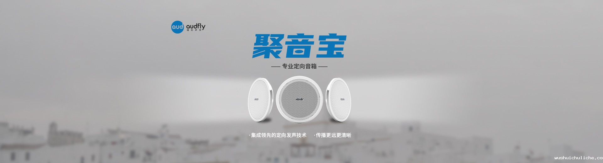 伟德竞彩网App定向音箱品牌