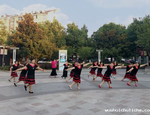 智能广场舞系统