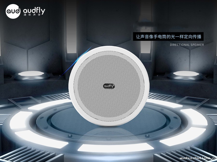 伟德竞彩网App定向音箱R2